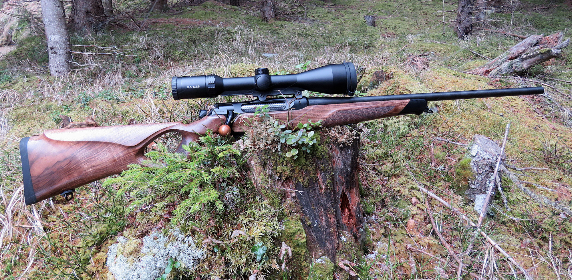 Sauer 505 Iconic Cal. .30-06 mit Kahles 2,4-12x56i montiert mit Sauer Sattelmontage