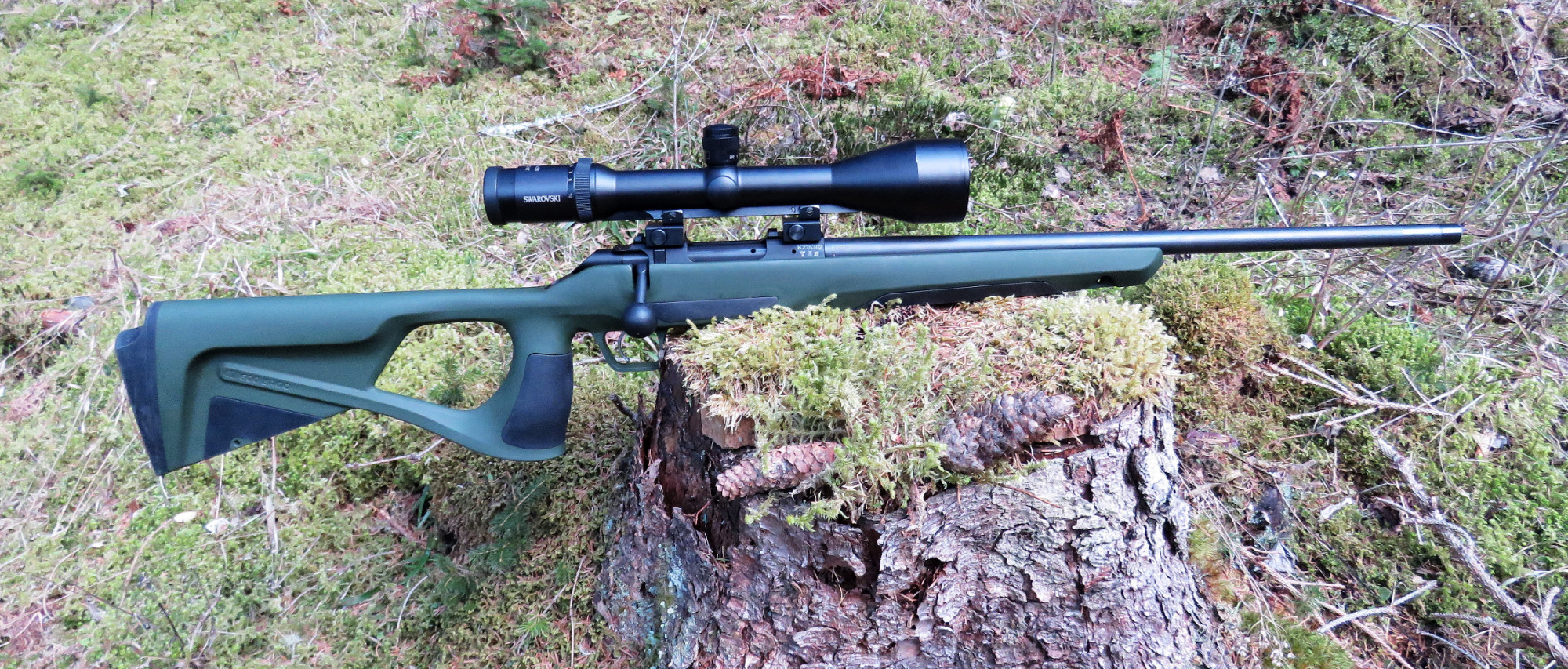 CZ 600 ERGO Cal. .223 Rem. Swarovski  2,5-10 x 56 mit Schiene vom Kunden beigestellt.