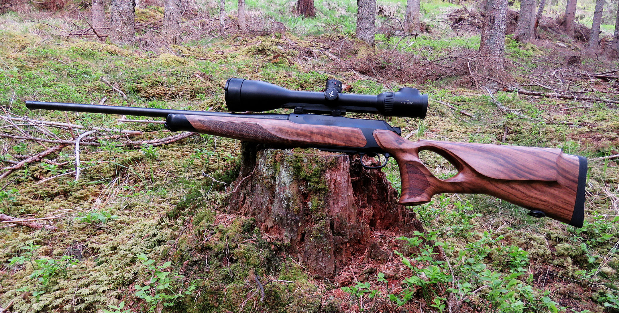 Sauer 505 Iconic Holzklasse 4  im Cal. .300 Win. Mag., mit Swarovski Z6i 2,5-24x56 SR BT